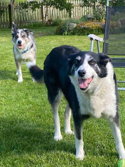 Highland Rural Farm Retreat,Loch Ness, Nc500, Beauly Βίλα Ίνβερνες Εξωτερικό φωτογραφία