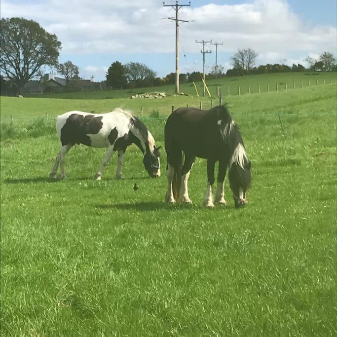Highland Rural Farm Retreat,Loch Ness, Nc500, Beauly Βίλα Ίνβερνες Εξωτερικό φωτογραφία